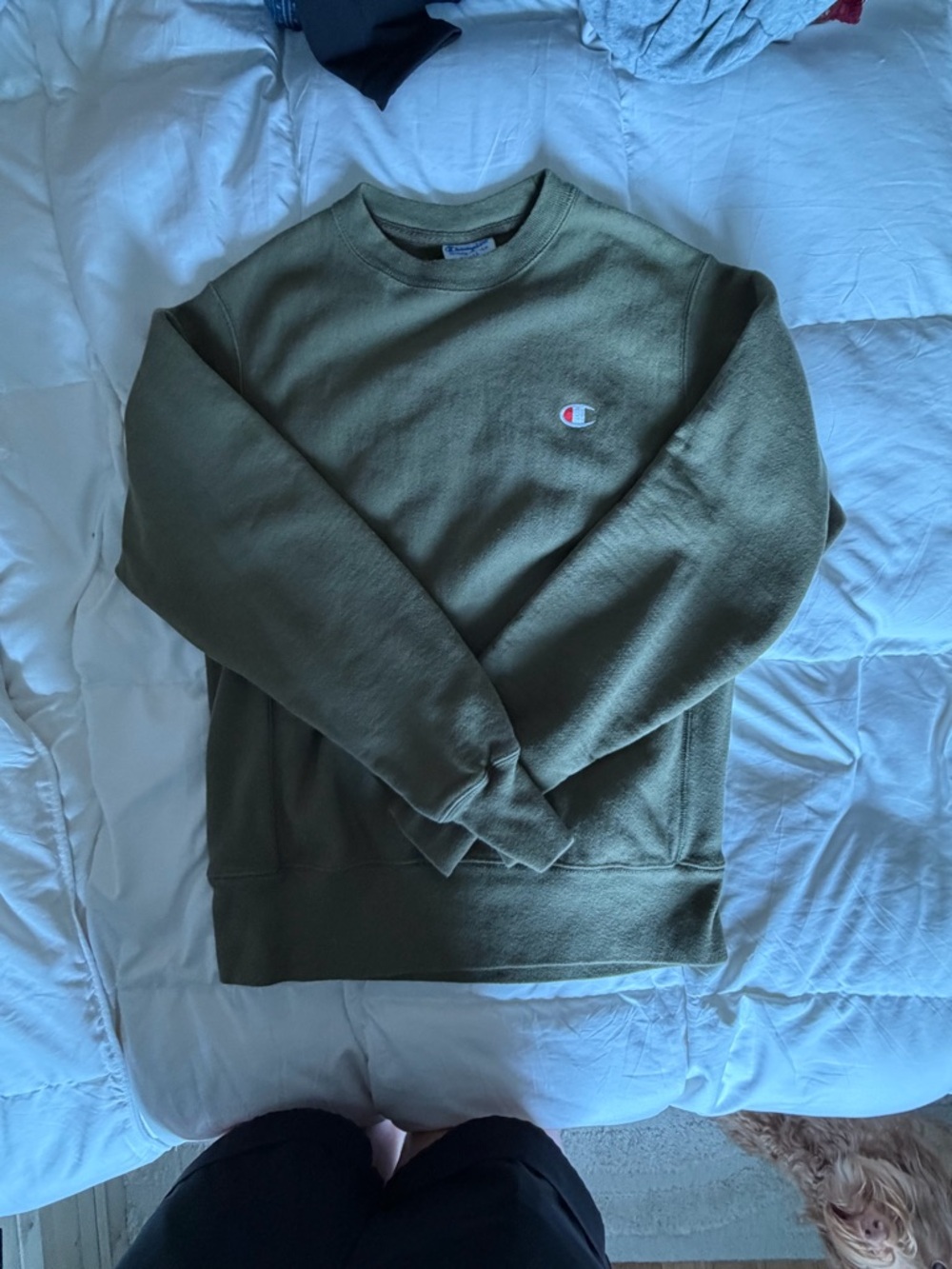 Champion Olive Green Crewneck Sweatshirt with Small Chest Logo